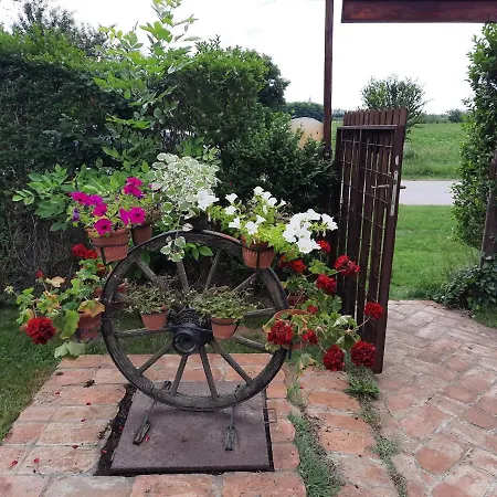 Apartamento Sunset *